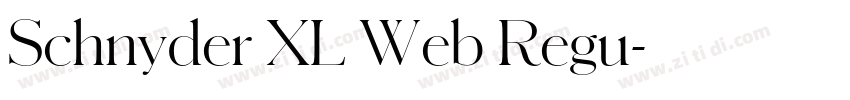Schnyder XL Web Regu字体转换